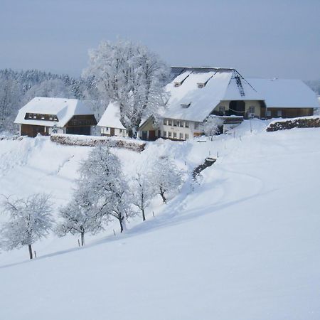 Apartmán Brosihof Erlenbach  Exteriér fotografie
