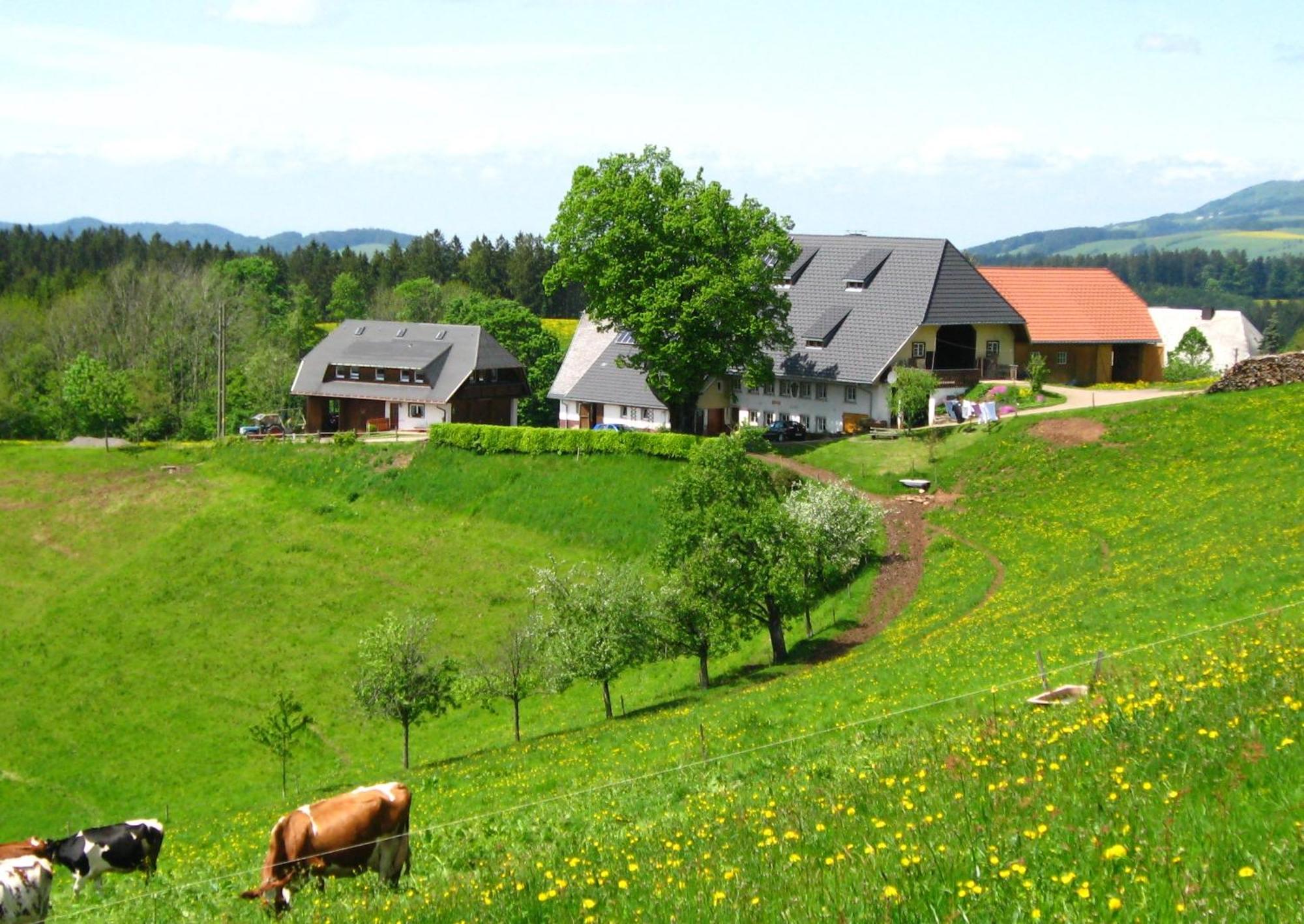 Apartmán Brosihof Erlenbach  Exteriér fotografie