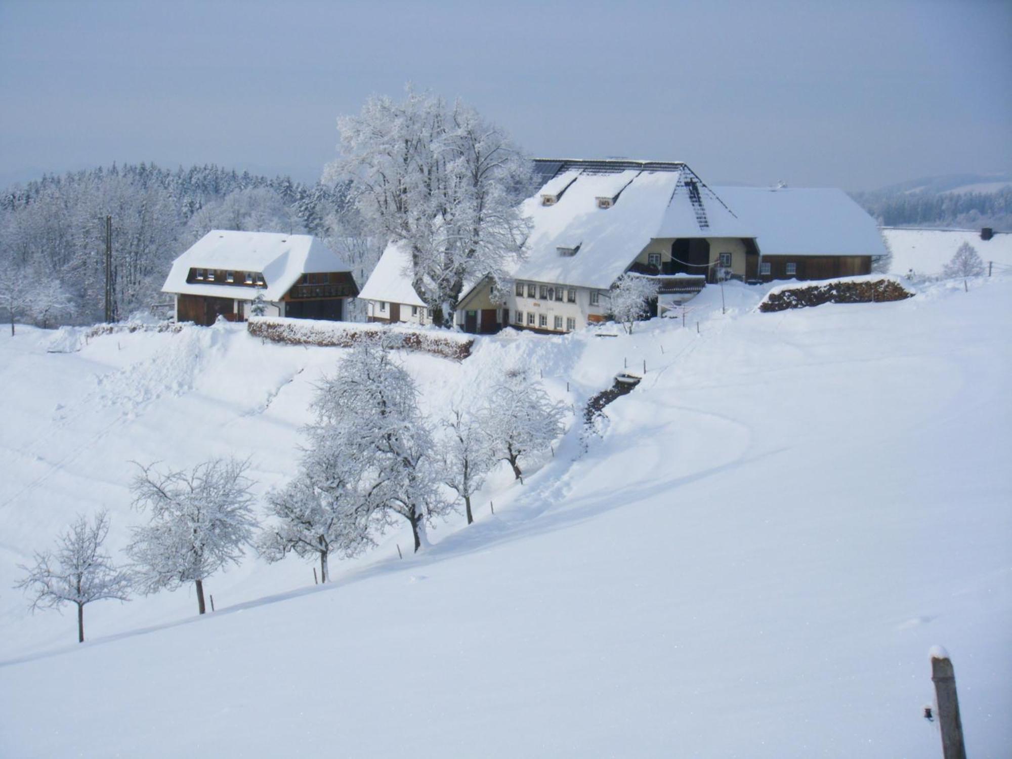 Apartmán Brosihof Erlenbach  Exteriér fotografie