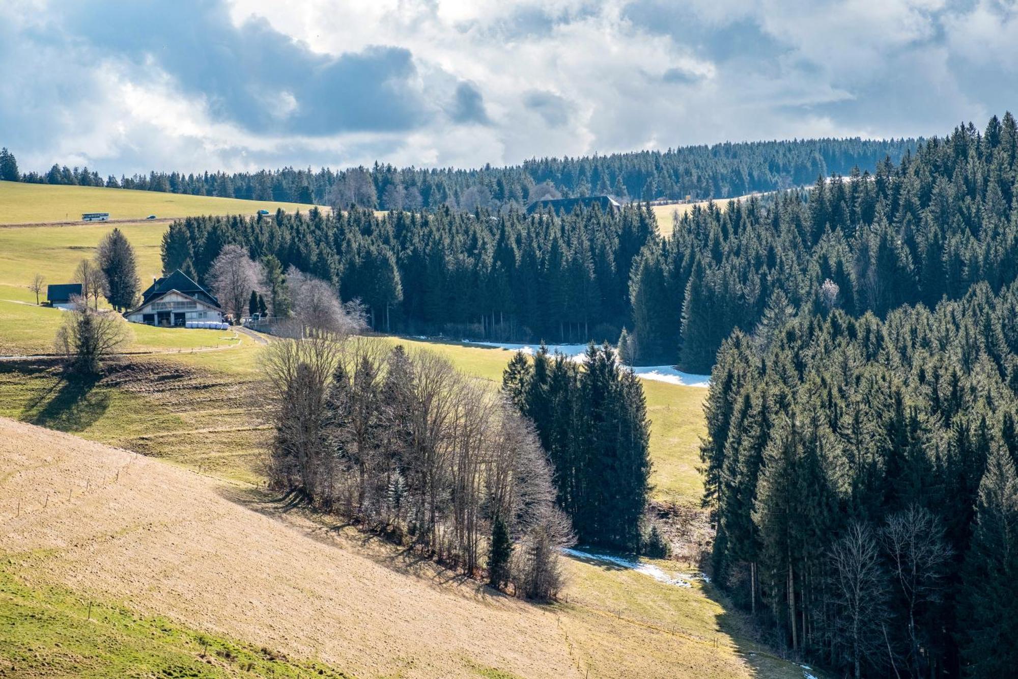 Apartmán Brosihof Erlenbach  Exteriér fotografie