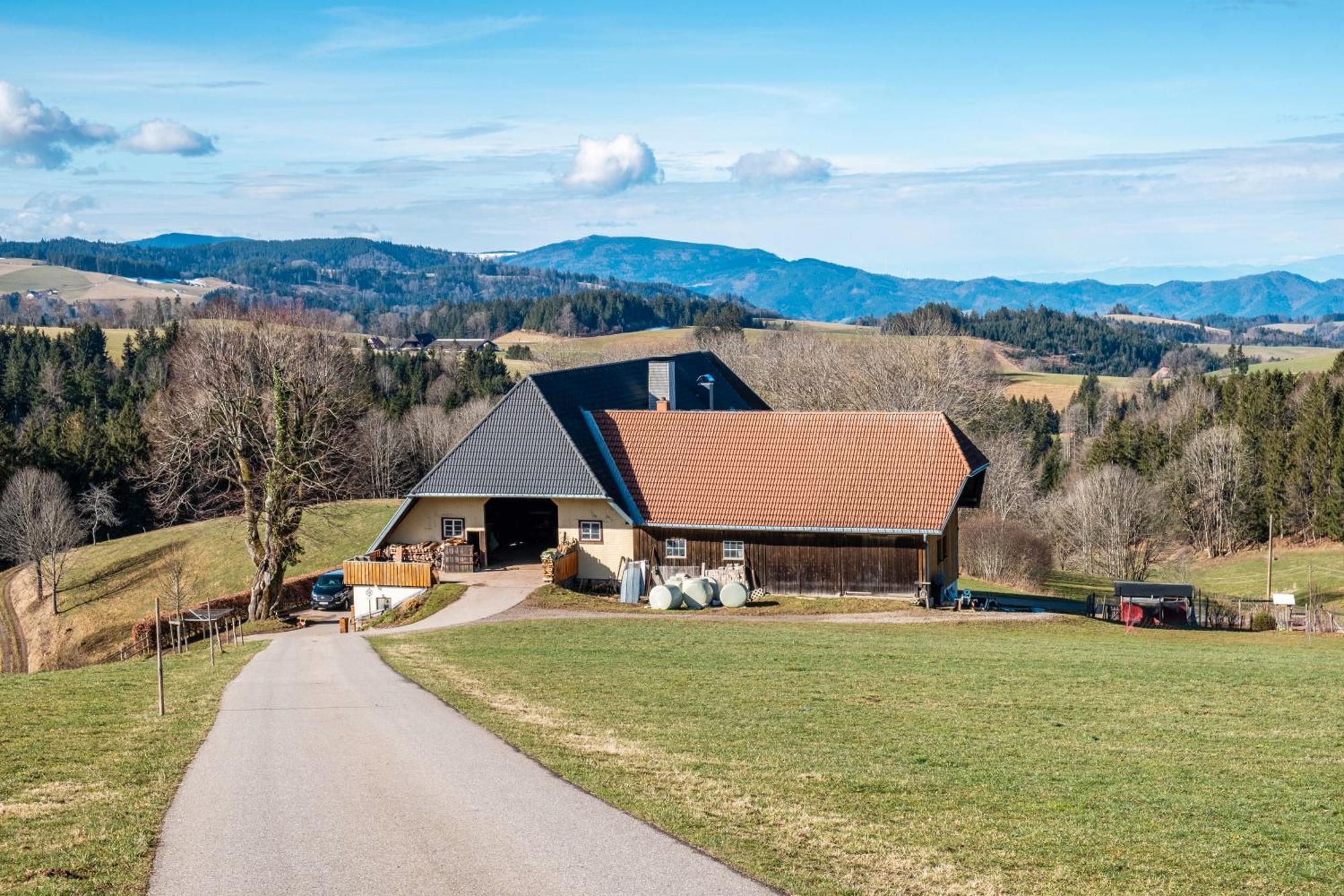Apartmán Brosihof Erlenbach  Exteriér fotografie