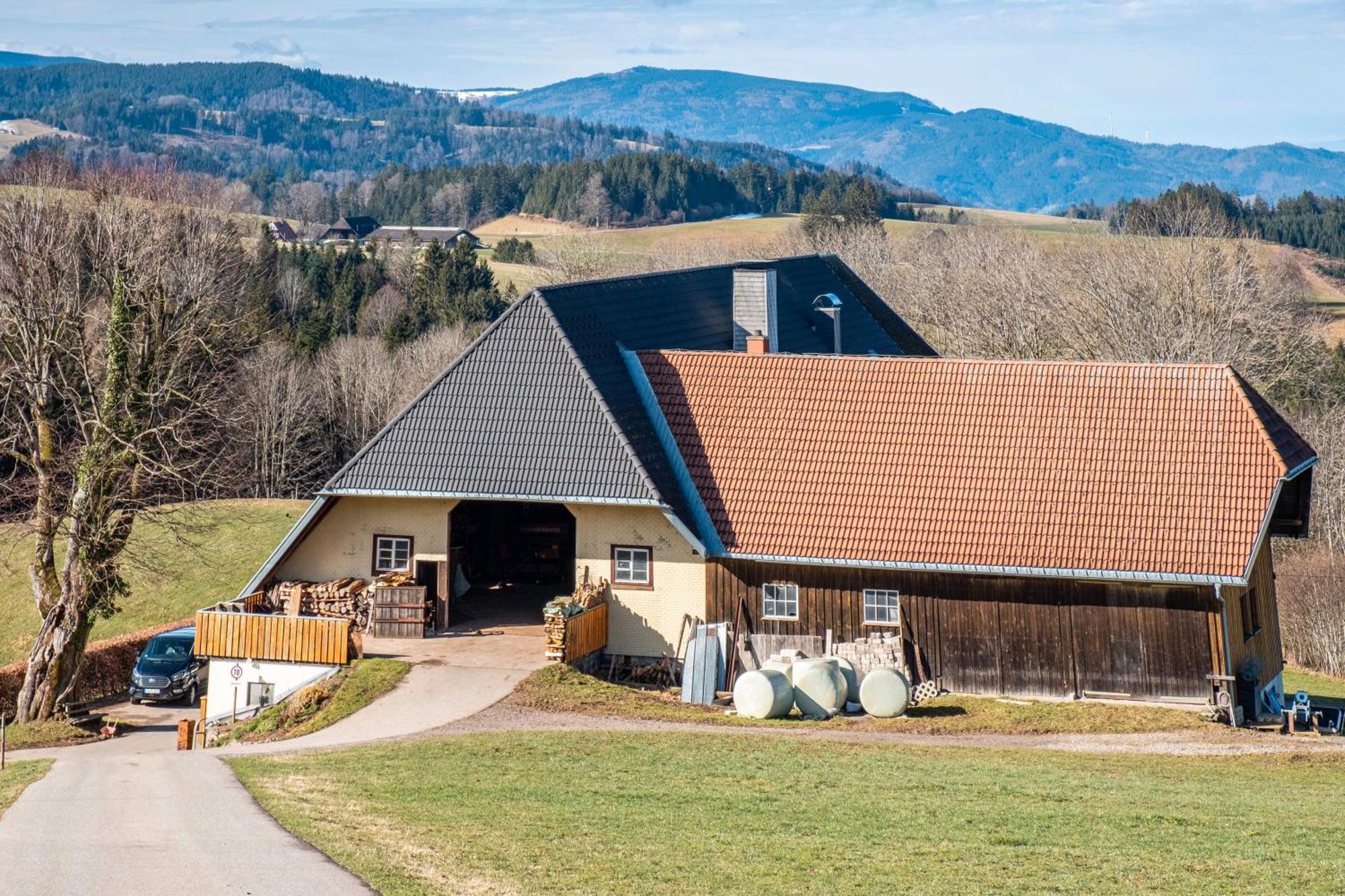Apartmán Brosihof Erlenbach  Exteriér fotografie