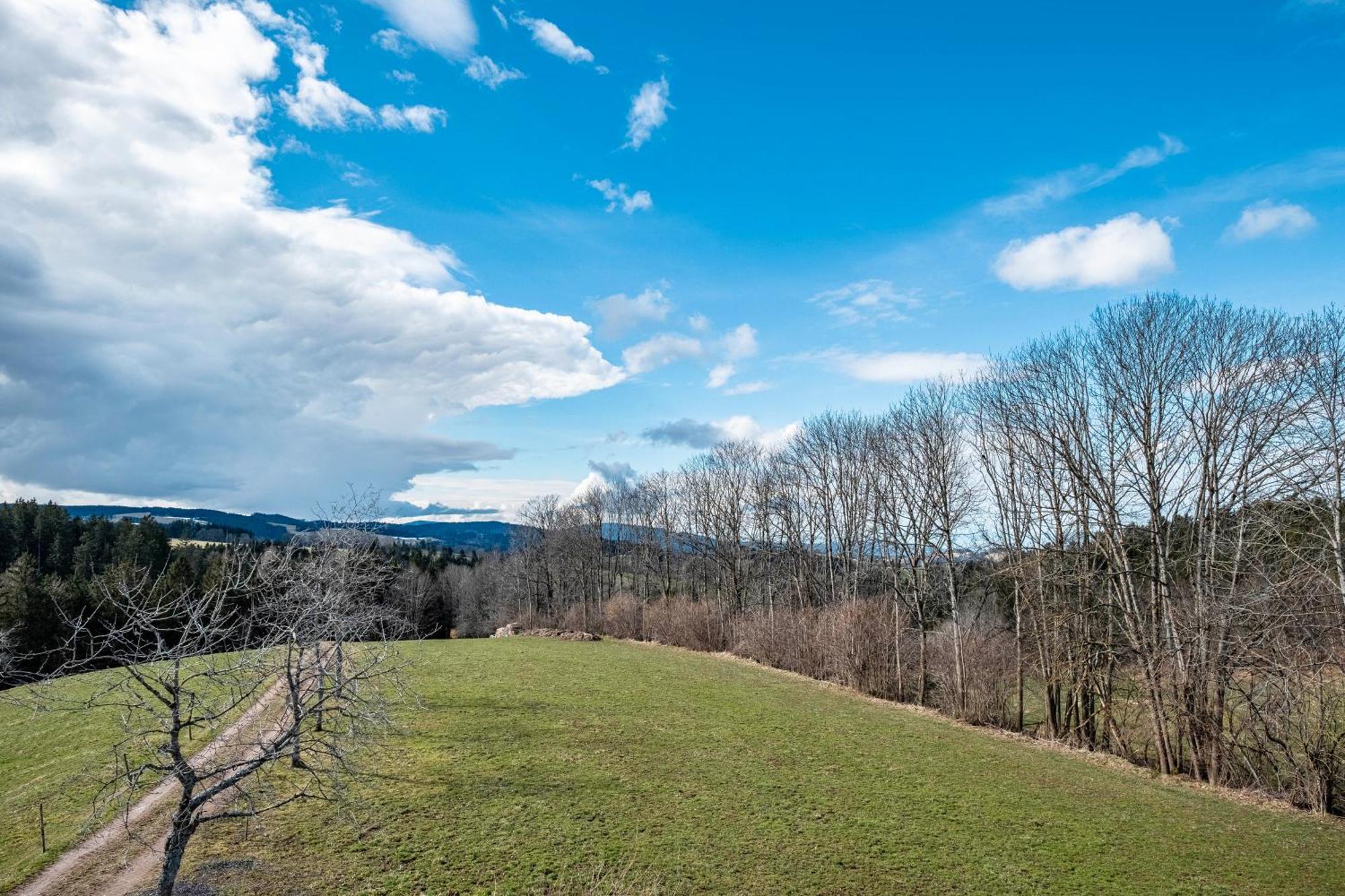 Apartmán Brosihof Erlenbach  Exteriér fotografie