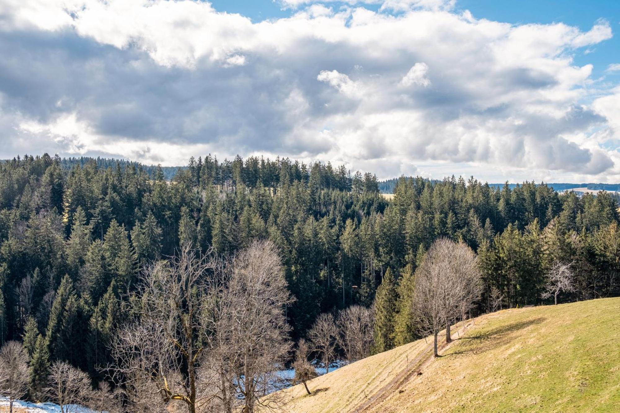 Apartmán Brosihof Erlenbach  Exteriér fotografie